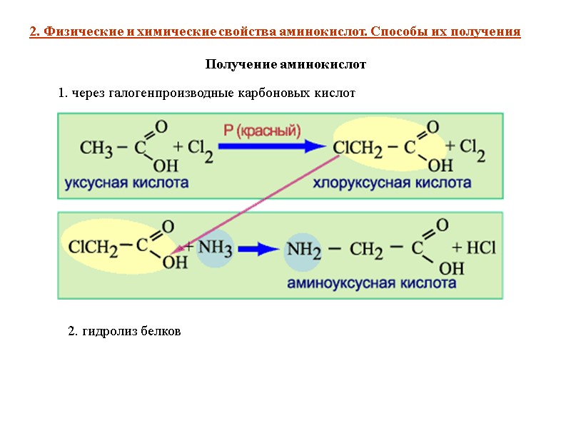 2. Физические и химические свойства аминокислот. Способы их получения Получение аминокислот 1. через галогенпроизводные